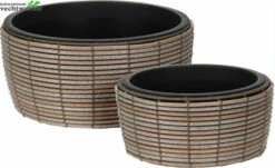 BLOEMPOT ROND SCHAAL Groot Per Stuk