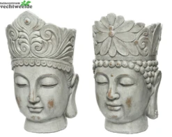 Decoris Pot Boedha Poly L23b25h36 Grey Wash Assorti Per Stuk 7 Decoris Pot Boedha Poly L23b25h36 Grey Wash Assorti Per Stuk -Bloempot Winkel pot boedha poly l23b25h36 grey wash assorti per stuk 1000x799 620951250c714 l