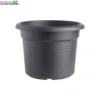 Elho Pot Green Basic Cilinder 55cm Zwart -Bloempot Winkel pot green basic cilinder 55cm zwart 1000x1000 6206deb75fd6e l