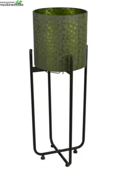 Pot Op Voet Jiro D22h75cm Groen