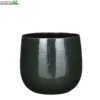 Pot Pablo D25h20cm Donkergroen 1 Pot Pablo D25h20cm Donkergroen -Bloempot Winkel pot pablo d25h20cm donkergroen 900x900 6347c857c1d0f l