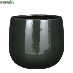 Pot Pablo D29h25cm Donkergroen