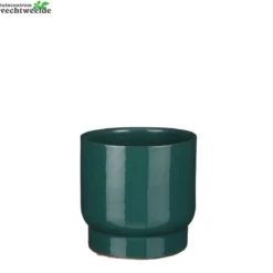 Pot Thiago D17h15cm Groen