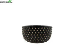 Schaal Bolino D20h11cm Shiny Zwart