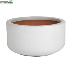 Schaal Glazed D31 - H15cm Wit