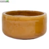 Schaal Glazuur D31h15cm Geel -Bloempot Winkel schaal glazuur d31h15cm geel 750x750 6418769299827 l