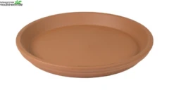 Schotel Roodsteen D41 - H5cm