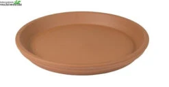 Schotel Roodsteen D46h4.5cm