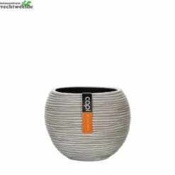 Vaas Bol Iii D22.5h19cm Ivoor