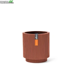 Vaas Cilinder Groove D19h21 Merlot