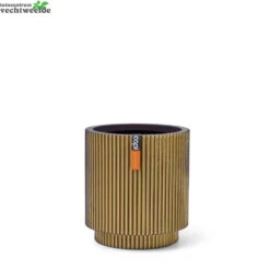 Vaas Cilinder Groove D19h21 Zw/gd