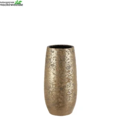 Vaas Clemente D17.5h35cm Goud - Mica