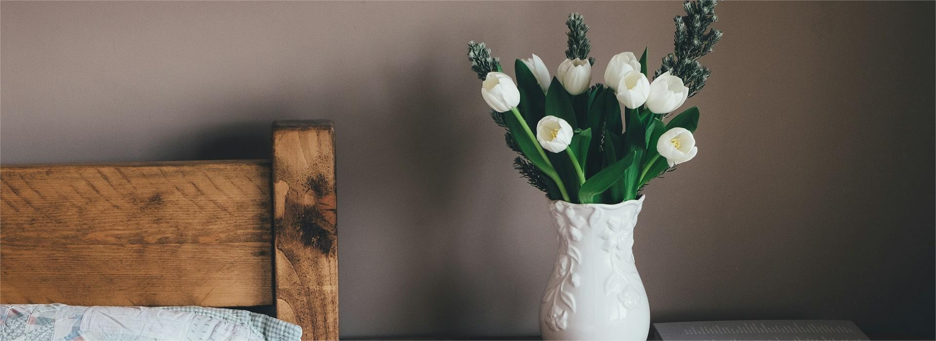 Bloempot Winkel -Bloempot Winkel annie spratt hqGcLzakDT4 unsplash